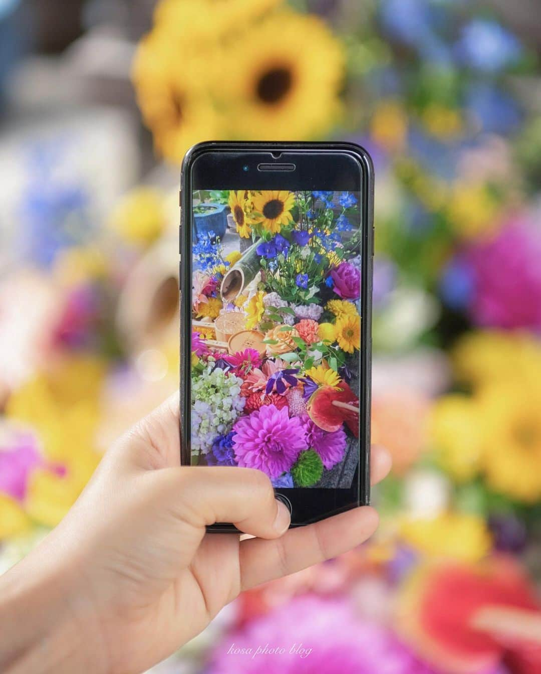 コサさんのインスタグラム写真 - (コサInstagram)「勝林寺の花手水、めっちゃ綺麗でした😍 向日葵もあって夏のイメージでした🌻 いや気温も30度… 夏でした😅 珍しく枚数多めの複数枚のpostです🙋‍♂️ . Location:京都 Kyoto / Japan🇯🇵 Date:2020.6.27 . #勝林寺 #花手水 #向日葵 #紫陽花 #ダリア #Japan_Daytime_View #s_shot #はなまっぷ #1x_japan #IGersJP #art_of_japan_ #tokyocameraclub #dpj_member #IG_PHOS #photo_jpn #ptk_japan #pt_life_ #bestjapanpics #Rox_Captures #kf_gallery_vip #special_spot_vip #YourShotPhotographer #Impressive_gallery #light_nikon #sorakataphoto #LBJ_VIP #広がり同盟メンバー #nipponpic_member #japan_of_insta #bestphoto_japan」6月28日 7時24分 - kosa_photo