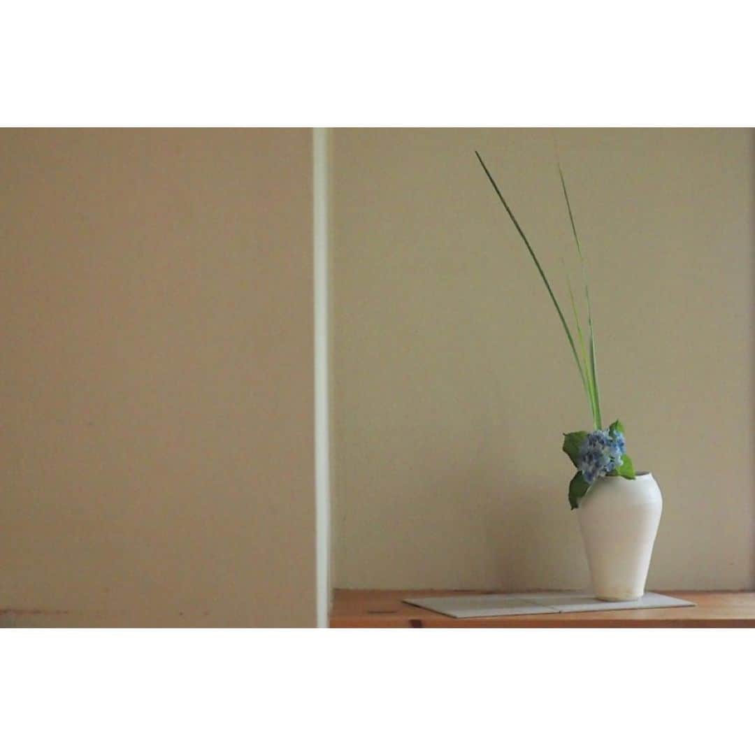 陶屋なづなさんのインスタグラム写真 - (陶屋なづなInstagram)「#月草sousow  #紫陽花の会 2020  ありがとうございます。 盛り沢山の美しい植物と、 優しさに包まれて。  皆さんが、入れた花に ハタノワタルさんの敷板や壁面で光と影  たくさん撮ったつもりが少しだけの写真、 ぼんやりしててごめんなさい。  7/1 から和紙職人ハタノワタル展 ご入店予約受付中✨✨✨ 詳しくは、webサイト、又はひとつ前のポストでご覧ください。  ２枚目画像、間違ってピンボケの画像😨」6月28日 7時30分 - hirohiro0220