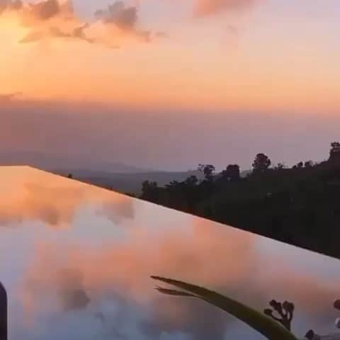 ブルーライフのインスタグラム：「💫🕊 #shopplanetblue」