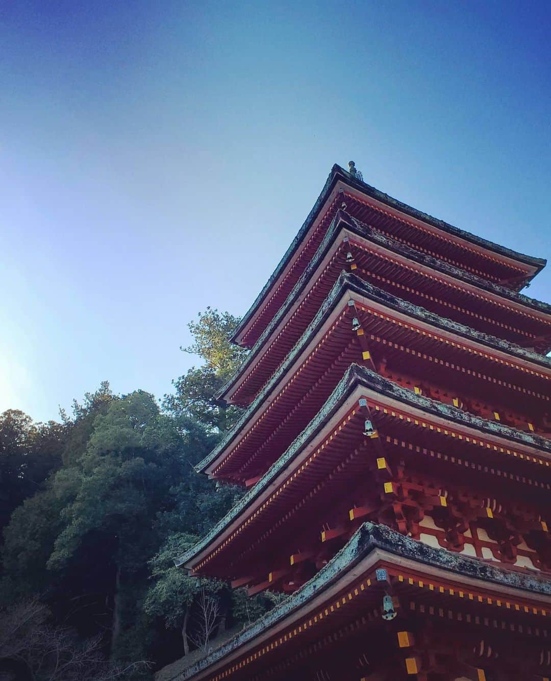 市川笑野さんのインスタグラム写真 - (市川笑野Instagram)「奈良 長谷寺の五重塔 ３月京都滞在中にて #奈良 #長谷寺 #五重塔 #nara #japan」6月28日 9時16分 - emino.i