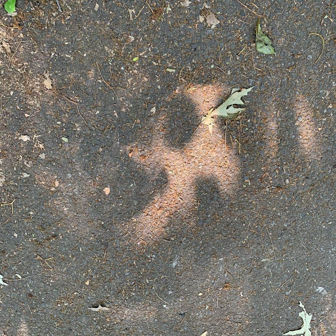 JULIEN D'YSさんのインスタグラム写真 - (JULIEN D'YSInstagram)「M’y little ghost 👻 of #centralpark#sun#shadow#three #quarantine #june27.2020 #they look at us 👽」6月28日 9時18分 - juliendys
