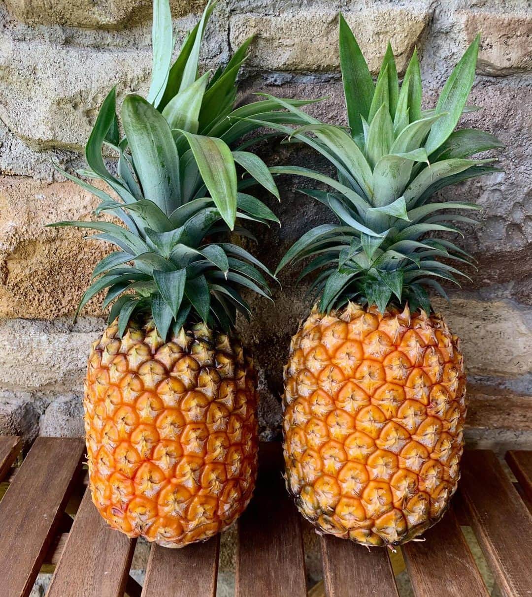 丘の上のパン屋 のグルメインスタ