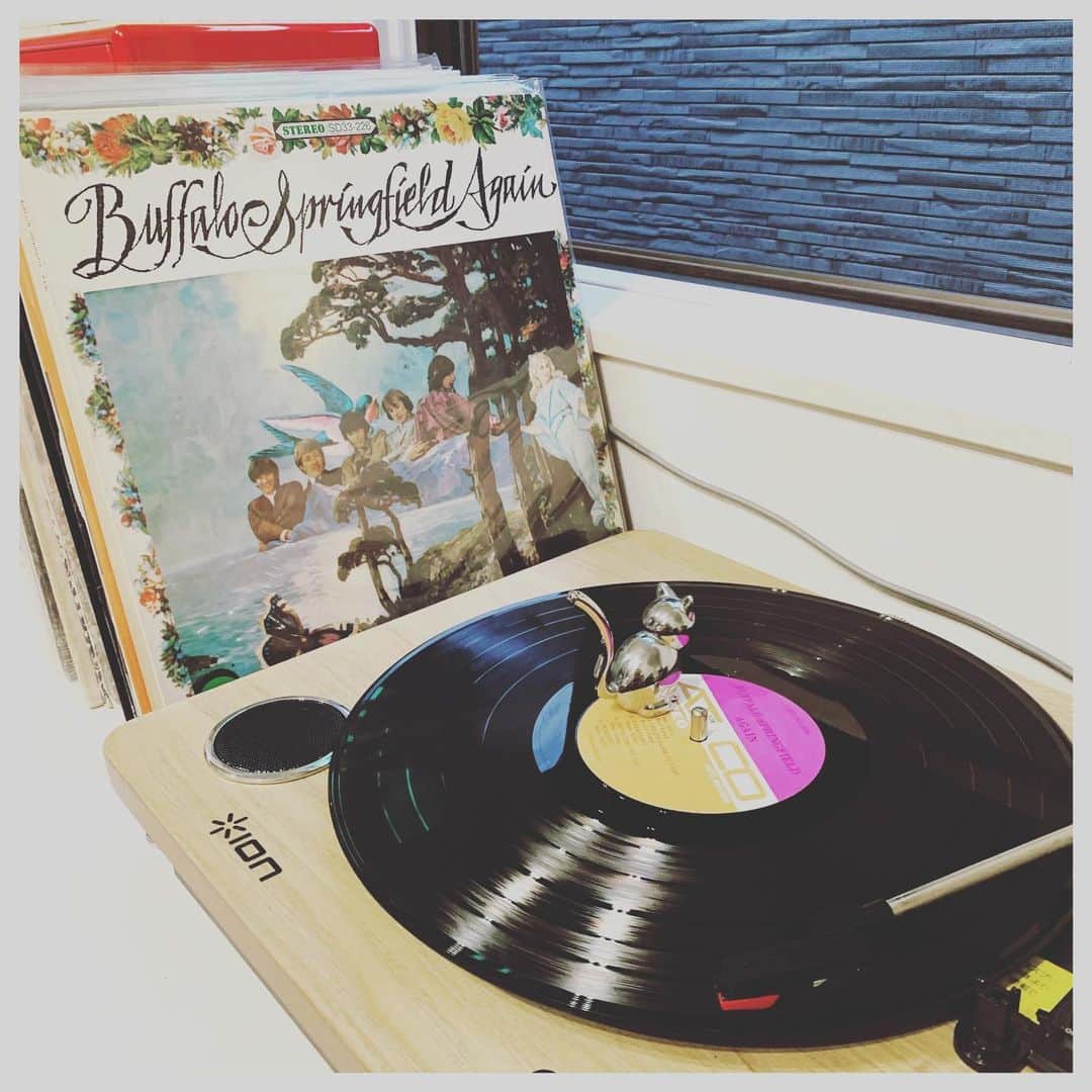 kainatsuさんのインスタグラム写真 - (kainatsuInstagram)「LPはいいお値段だからいつか手に入れたいなぁ・・と投稿してからわずか1週間。  まさかのご縁がありBuffalo Springfieldの2ndを入手しました。笑 しかもAtcoパープル＆ブラウンラベル！ オリジナル盤です。  盤の状態も良好。耳が楽しいー！ 首痛めてるんだけど首曲げたまま踊っちゃうー  Buffalo Springfield / 「Buffalo Springfield Again」(1967)  #natsugram_record ⇦タグを作った🏷」6月28日 10時18分 - natsugram_life