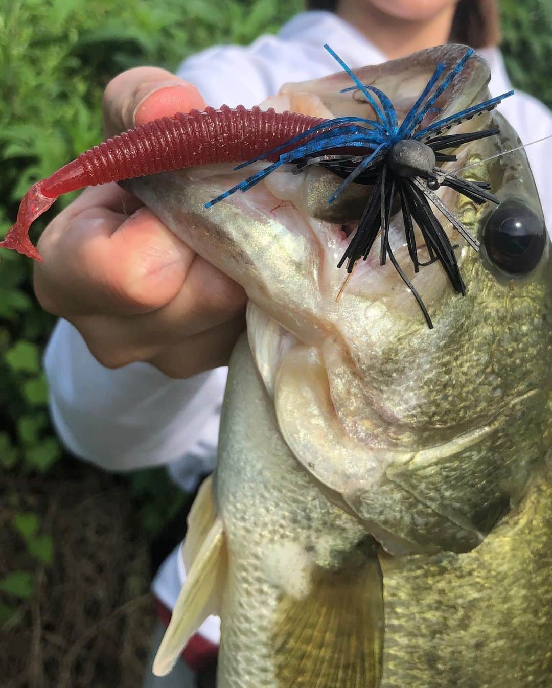 今田美奈さんのインスタグラム写真 今田美奈instagram 早起きして久しぶりに釣りへ なかなか良いコンディションのバス2本釣れたよー バス釣り 魚釣り 釣り 釣りガール 釣り女子 釣りスタグラム エバーグリーン Evergreen Bassfishing Fishing Fishinggirl