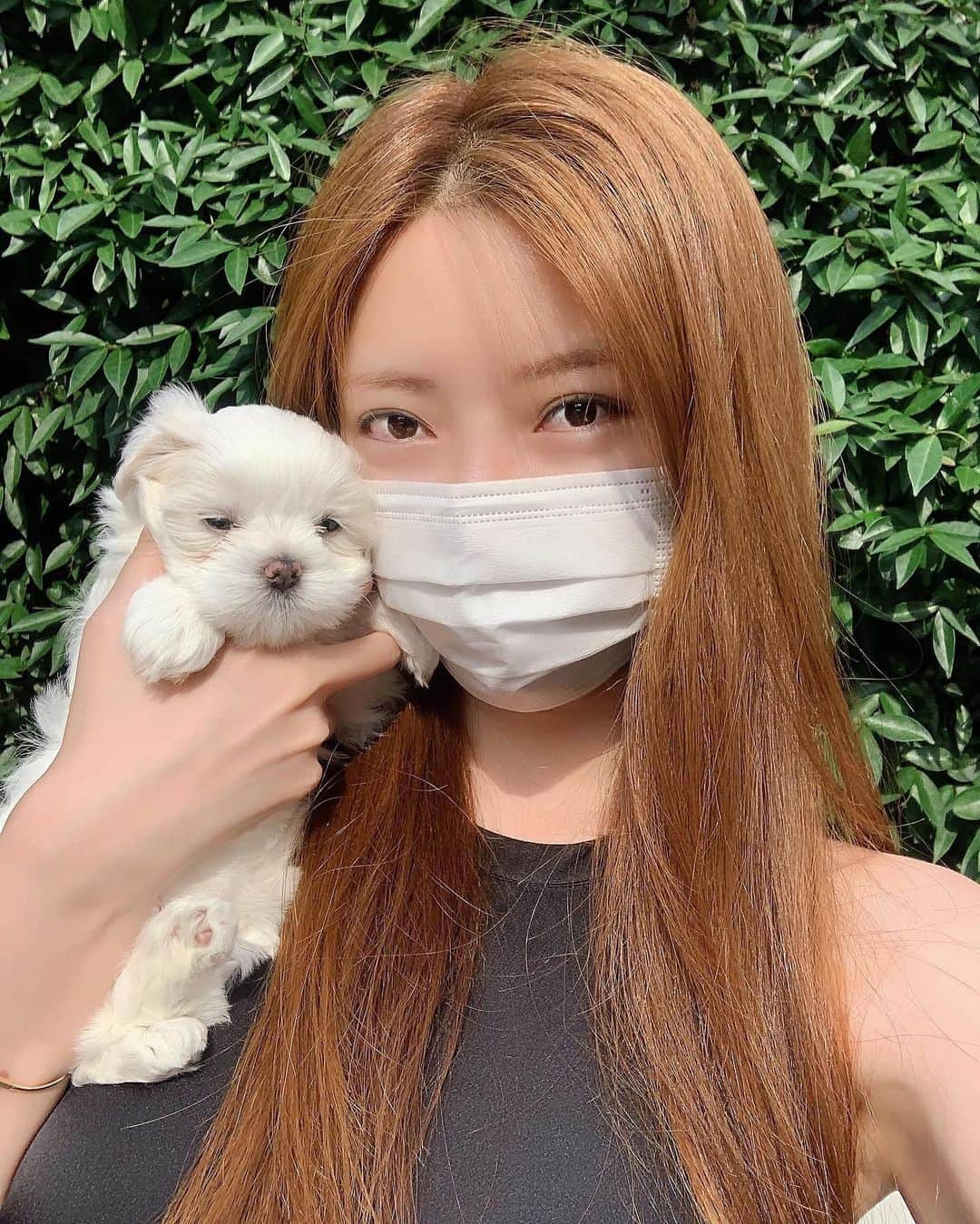 Choi Somiさんのインスタグラム写真 - (Choi SomiInstagram)「⠀⠀⠀⠀ #글랜더 #glander  오랜만에 보는 아기 갱얼쥐🐶 오랜만인 게 한두 가지가 아니야 화장실 가다 쉬야도 밟아보고 쉬야한 이불빨래도 하게 됐고 새벽 내내 보느라 잠 못 이루고 깨물깨물도 오랜만이었어 sᴇᴇ ʏᴀ👋🏻🖤 ⠀⠀⠀⠀ 많이들 궁금해하셔서.. 아빠 지인분 강아지가 낳은 아가인데 어젯밤에 갑자기 저한테 왔다가 아침에 긴 여운을 남기고 돌아갔어용」6月28日 10時47分 - cxxsomi