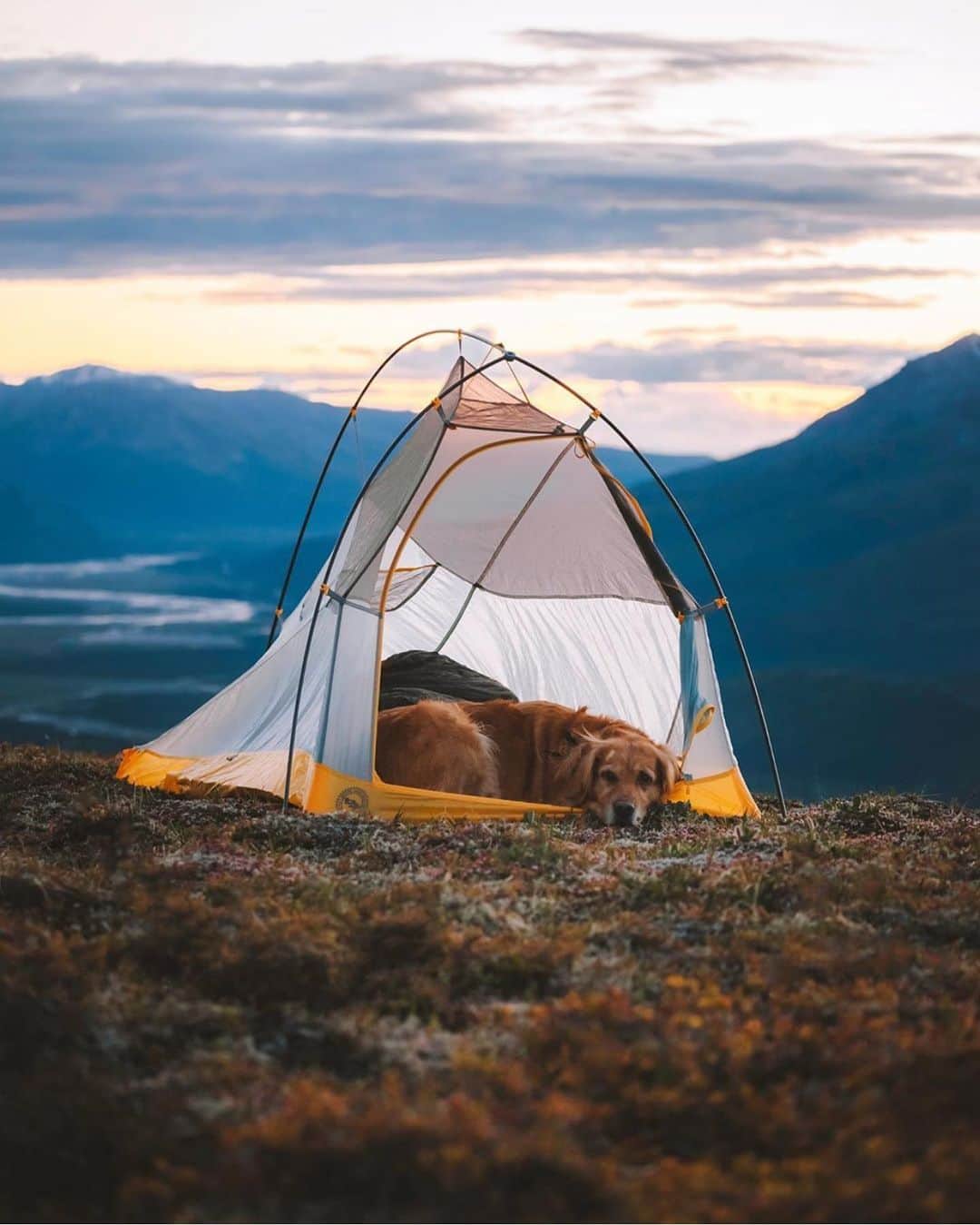 FOLKのインスタグラム：「Tag a friend you want to go here with. Photo by @johnwingfield」