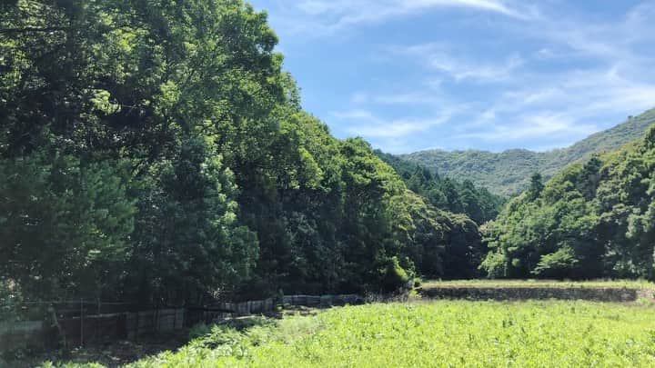 ogapiiiiiのインスタグラム：「少し前の休日、旦那さんと近場をのんびり散歩🌳🌳🌳 ﻿ ﻿ 梅雨の合間の爽やかな晴れの日は、嬉しくてテンション上がります😇✨✨﻿ ﻿  #shimastagram #kankomie #mie #三重県 #伊勢志摩 #志摩市 #絶景伊勢志摩 #天の岩戸 #森の中 #絶景 #ノンフィルター﻿ #田舎生活 #田舎暮らし #大自然 #vistmie #田舎の風景」