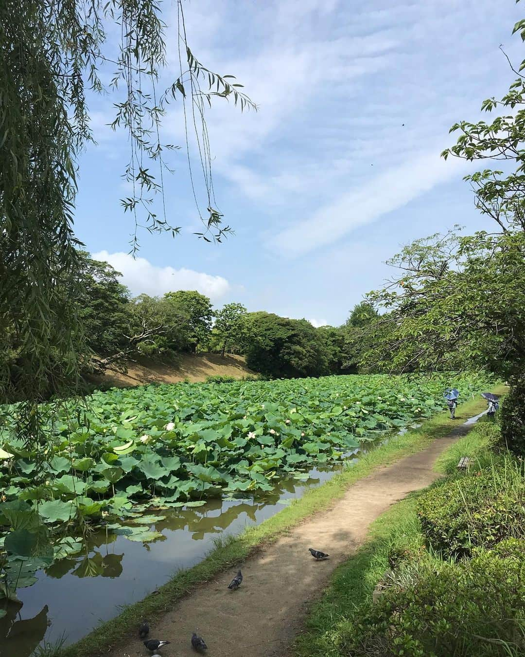 川原由維のインスタグラム