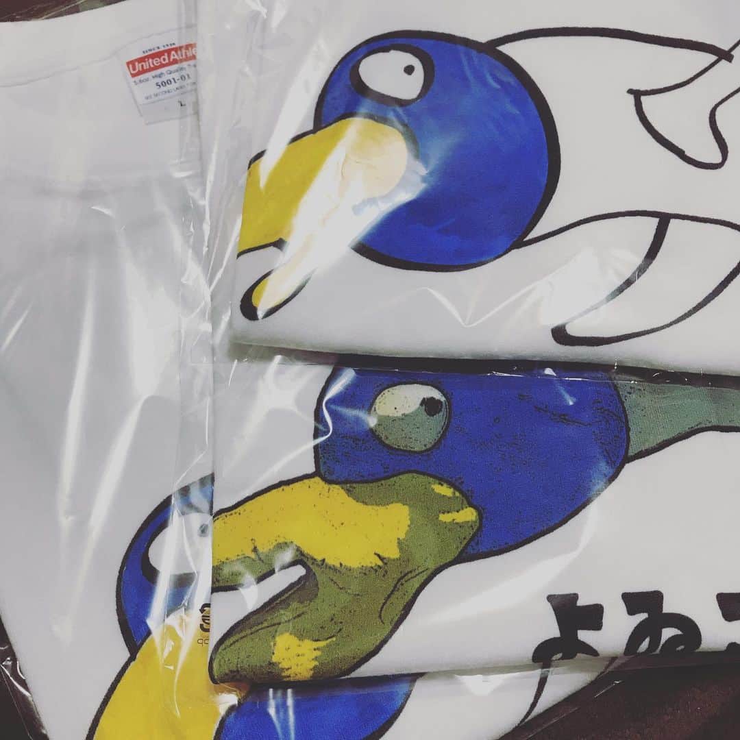 小森高博のインスタグラム：「あほみどりTシャツ来たー！」