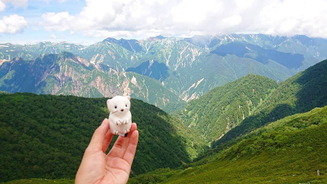 桜花さんのインスタグラム写真 - (桜花Instagram)「おはようございマウンテン🗻🍀 本日もナイスな１日にいたしましょ✨  おこじょも山に行きたそうです🍀  #おはよう #おこじょ  #オコジョ #山  #北アルプス」6月28日 12時19分 - mountainohka