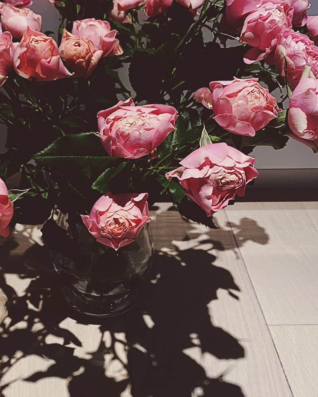のインスタグラム：「🌹」