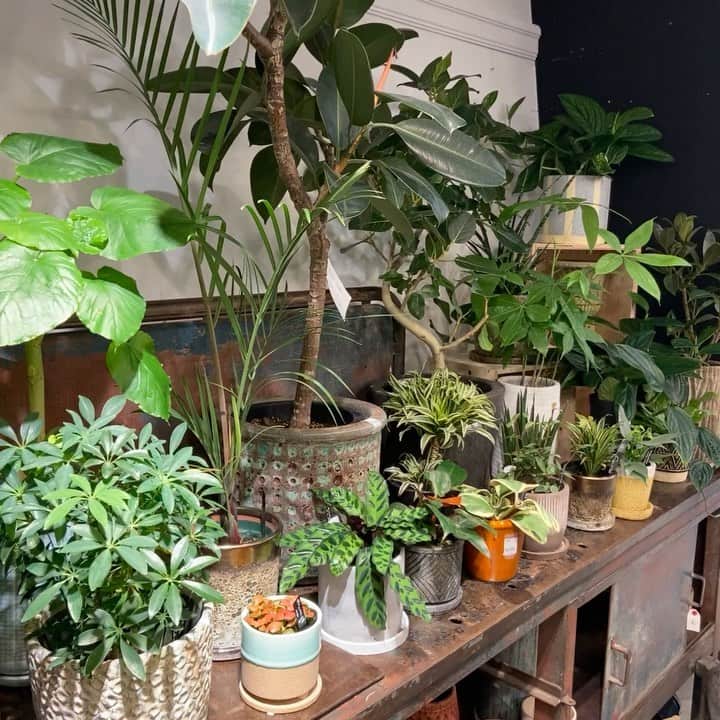 ニコアンドのグルメインスタ