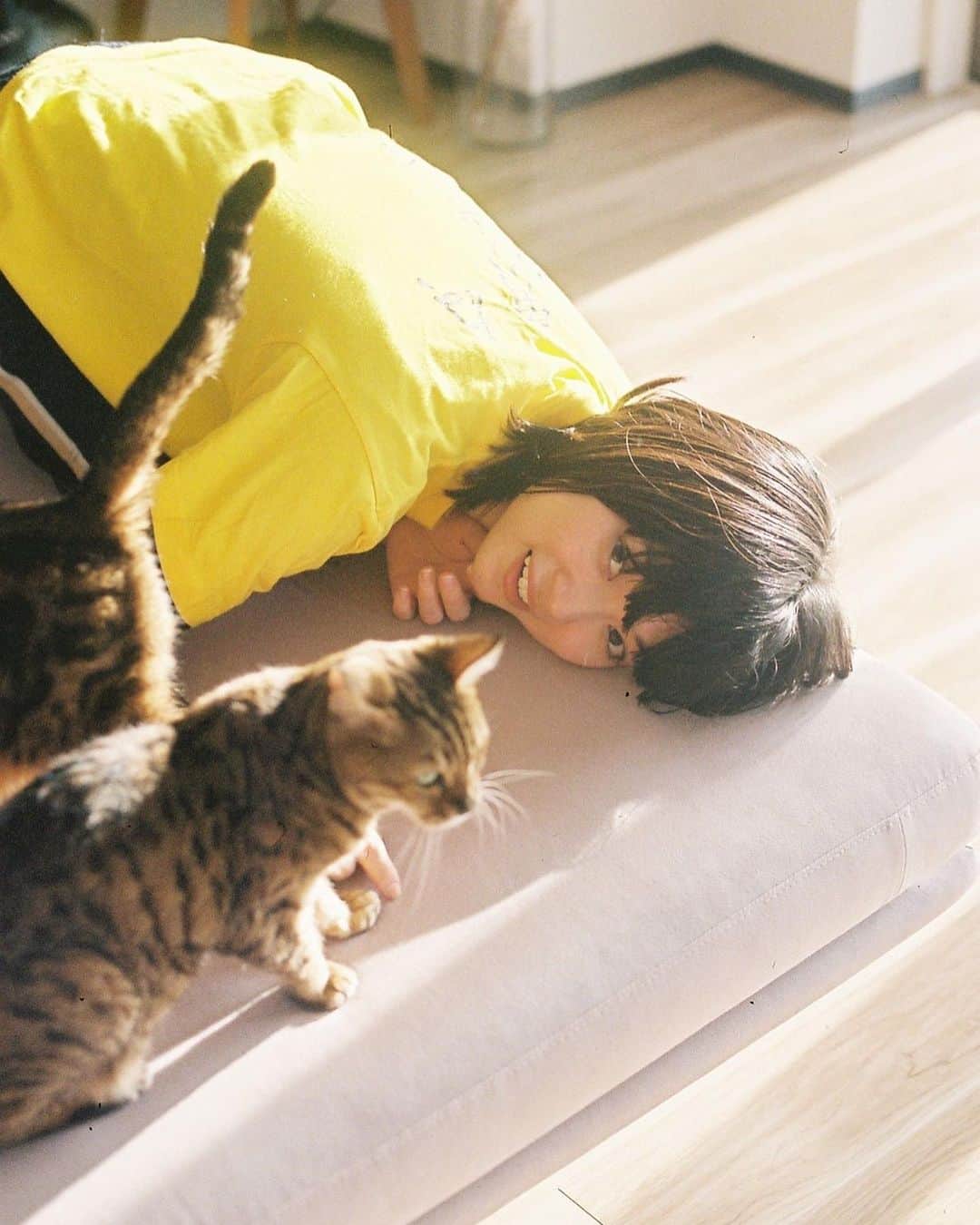 Macoto Tanaka 田中真琴さんのインスタグラム写真 - (Macoto Tanaka 田中真琴Instagram)「. 猫×猫目 → @dopamyu  素敵な写真すぎる。」6月28日 13時39分 - mac0tter