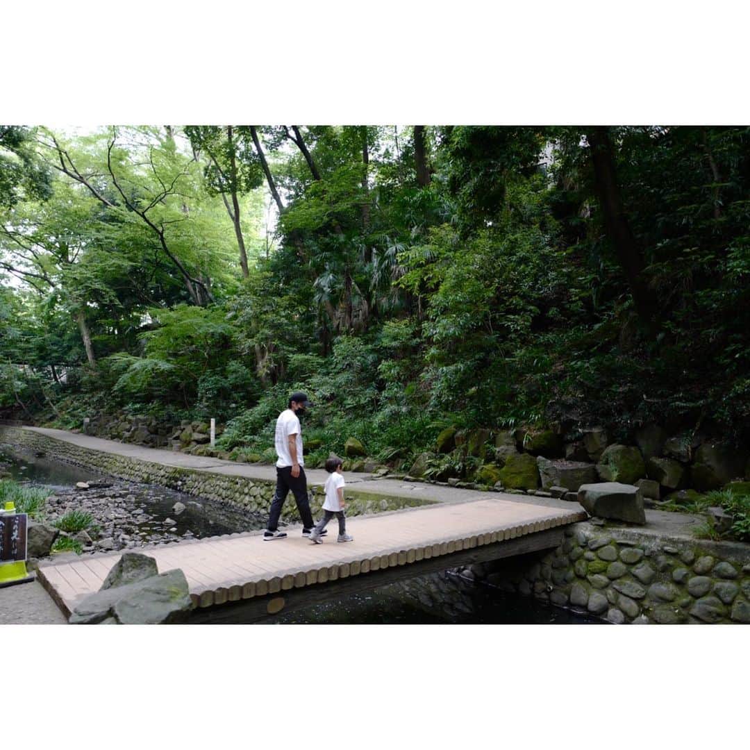 松本利夫さんのインスタグラム写真 - (松本利夫Instagram)「東京世田谷にある等々力渓谷 自然の中を散歩^_^ 癒される✨」6月28日 13時41分 - exile_matsu
