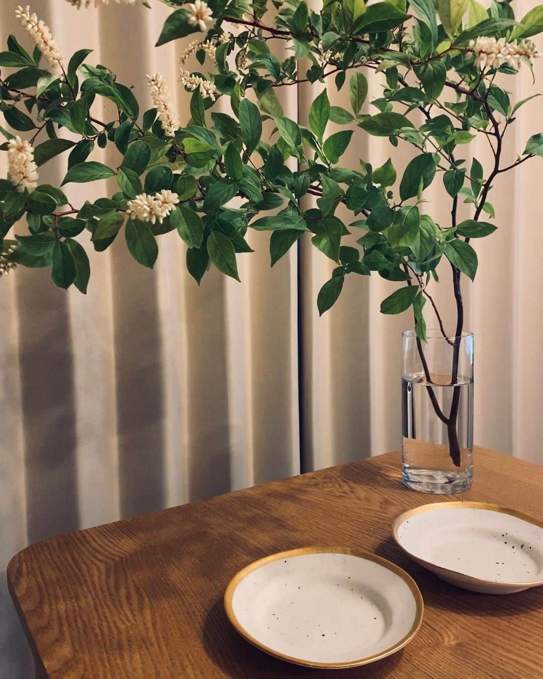 福田彩乃さんのインスタグラム写真 - (福田彩乃Instagram)「_ 一目惚れで買った @kodama.toki  さんのお皿🍽 見た目も質感も好み🤍 最近人生で1番料理をしてるから、お皿も色々気になってきちゃった😂 かわいいの揃えたいなあ _ テーブルにはリョウブの枝も🌿」6月4日 21時47分 - ayanofukuda_official
