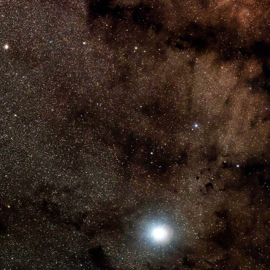 RIKAPEPEのインスタグラム：「日本は月にまつわる唄が多く、アメリカは星にまつわる唄が多いの。アメリカはスターの国だから。今宵は月が綺麗ですね。」
