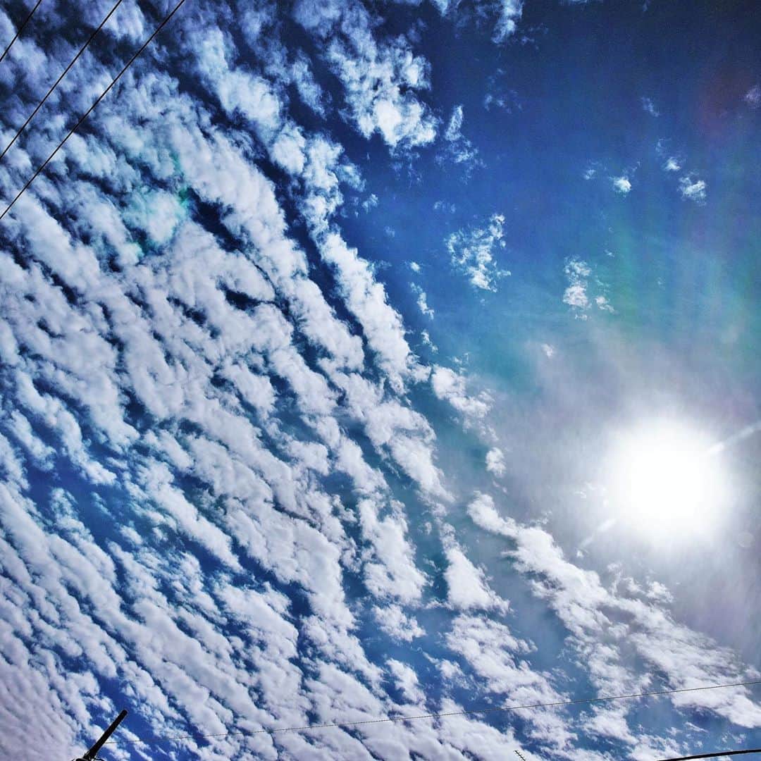 坂崎幸之助さんのインスタグラム写真 - (坂崎幸之助Instagram)「雲シリーズその2をどうぞ😉 今まで撮り貯めていた在庫から😙  #sky #空 #雲 #青空 #sigma dp0 #olympusem5 #sigma dp2 #sigmadp1merrill  #なるべく上を向いて」6月4日 21時55分 - kohnosukesakazaki