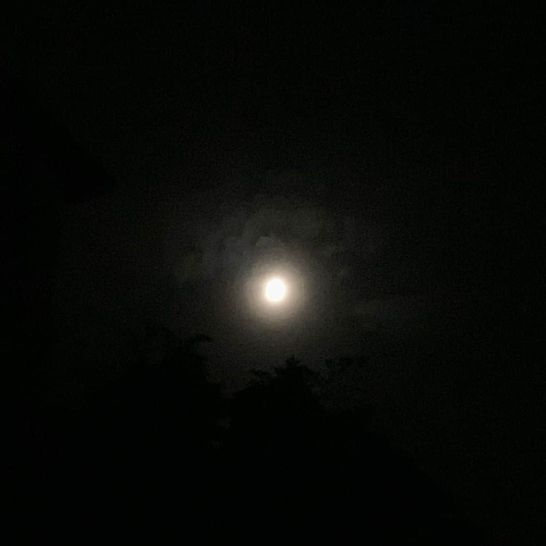 大月さゆのインスタグラム：「☁️🌝☁️﻿ ﻿ ﻿ 昨夜のおぼろづき﻿ ﻿ ﻿ #ふわっと優しくて﻿ #きれいだったなぁ﻿ #朧月﻿ ﻿ ﻿」