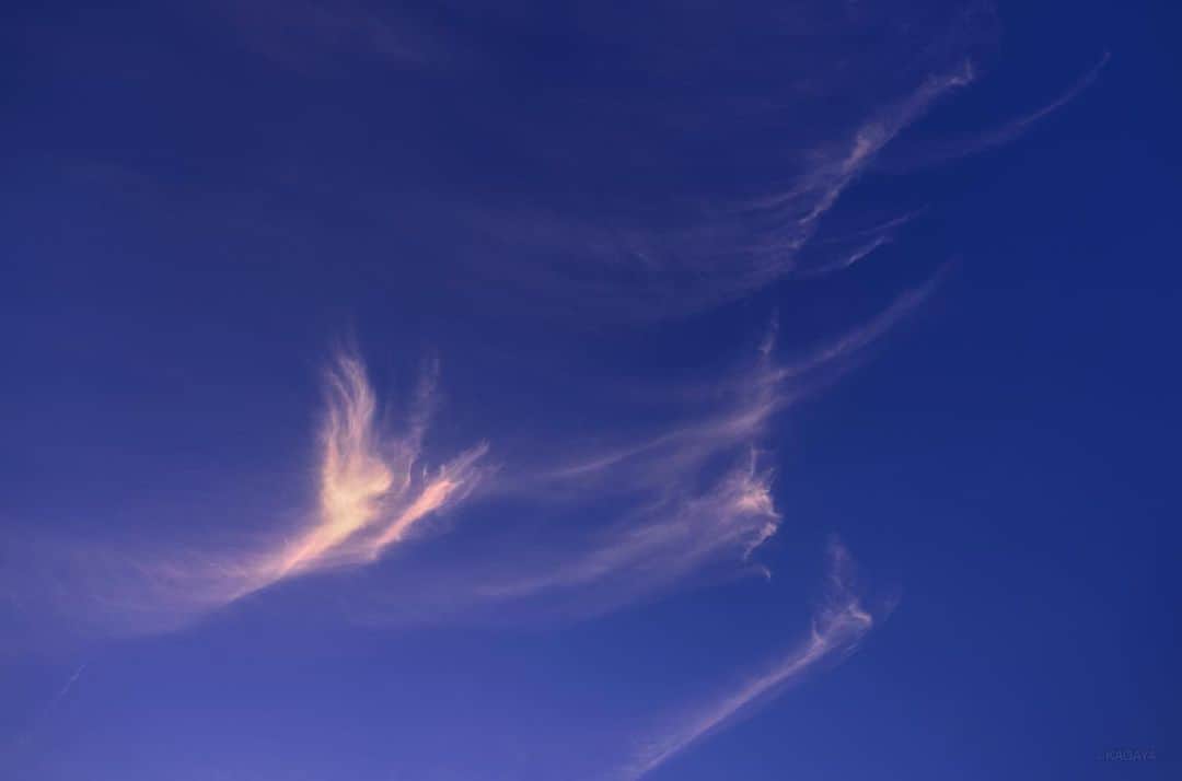 KAGAYAさんのインスタグラム写真 - (KAGAYAInstagram)「天使たちの舞。 夕焼けを撮っていると、まるで翼を広げた天使たちのような夕映の雲が西の空からやってきて、その光る姿に見とれました。（本日東京にて撮影） 今日もお疲れさまでした。 #夕焼け」6月4日 22時09分 - kagaya11949