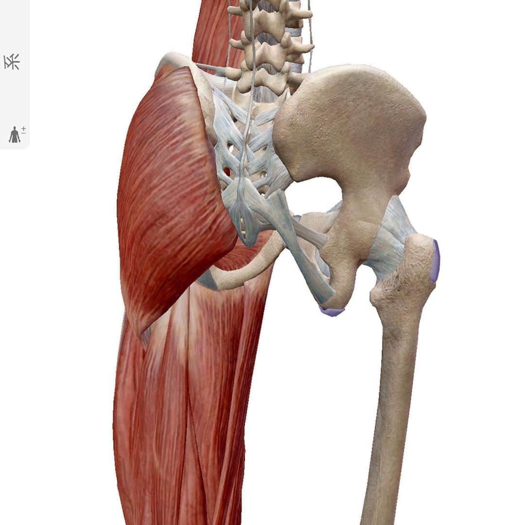 大山大輔さんのインスタグラム写真 - (大山大輔Instagram)「【Mobility Flows】 . "Hip Sit&Back Bend" ⬇️ 説明 <対象筋> 『腸腰筋、大臀筋、腹直筋、外腹斜筋、内腹斜筋、肋間筋』 ---------------------------------- 膝を曲げた状態で片足を完全に伸ばし、身体を反らして反対の手をなるべく後ろに伸ばします。その際に伸ばしてる足に力を入れて、床を押すイメージにするとより伸びます。(動画参照) ---------------------------------- ＊股関節が固く、可動性を高めたい方 ＊上半身のトレーニング効率を高めたい方 ＊上半身と下半身の滑らかな動きを実現したい方 ＊全身の連動性を向上させたい方 . . #股関節ストレッチ #backbend #後屈 #運動能力向上 #身体調整 #ヨガ #ピラティス #カイロプラクティック #運動不足解消 #mobilitytraining #mobilityflows #フィットネス #fitness #健康 #腰痛改善 #腰痛ストレッチ #猫背改善 #姿勢改善 #姿勢改善トレーニング #柔軟性 #柔軟性向上 #可動性向上エクササイズ #見た目重視 #機能性重視 #カッコいい身体作り #動ける身体作り」6月4日 22時19分 - weggy_fitness0704