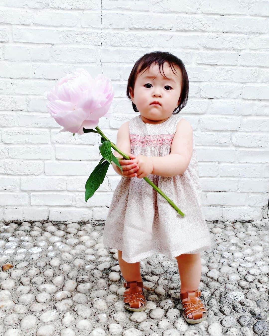岡本静香さんのインスタグラム写真 - (岡本静香Instagram)「「はっぱやお花にさわるたび、母は"優し優しだよ"といいます。優し、さわれるようになりました。お花やさんからの帰り道は、そのまま持たせてくれます。しゃくやくは、すこしおもかったです。」まんまる日誌」6月4日 13時47分 - shizucat