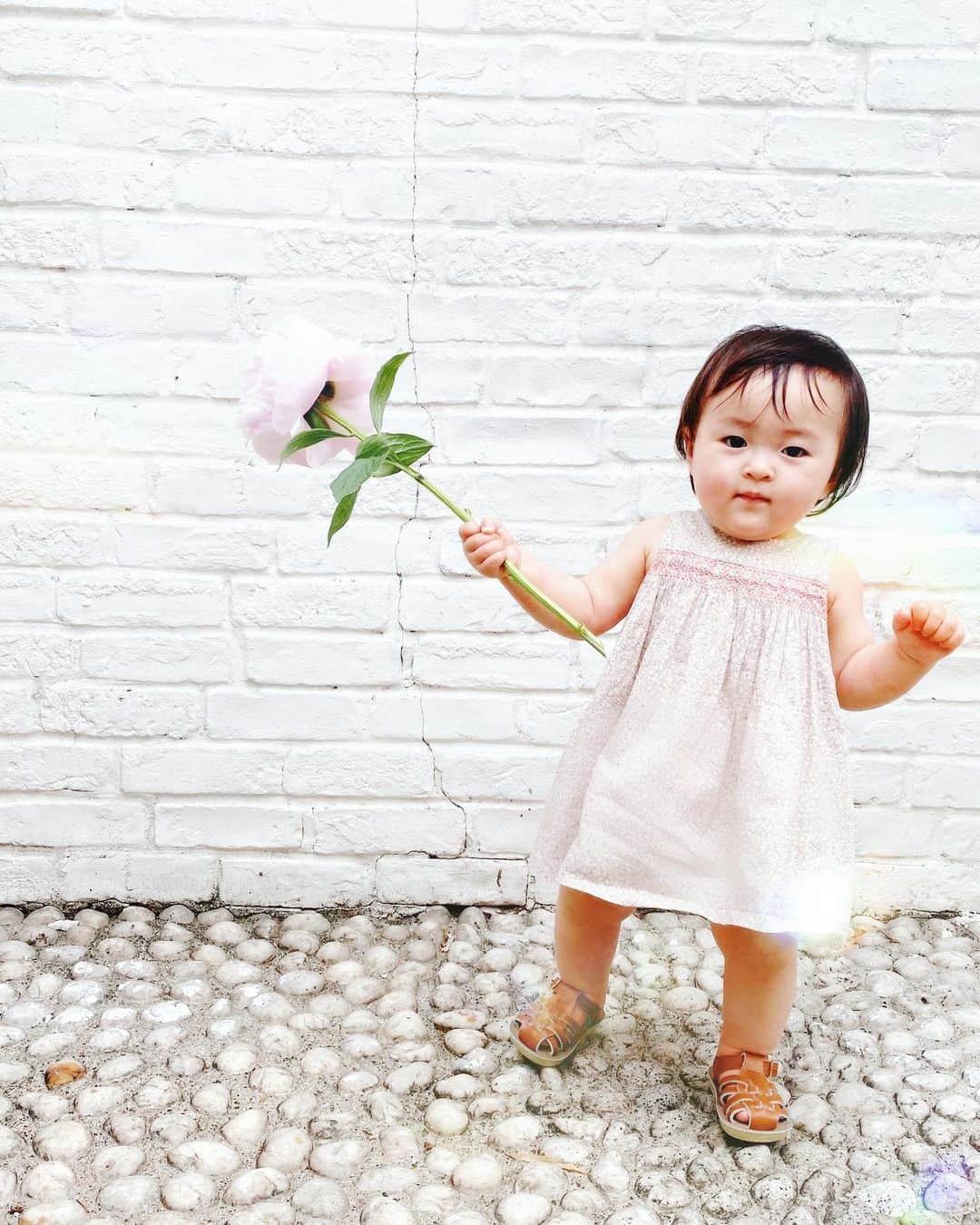 岡本静香さんのインスタグラム写真 - (岡本静香Instagram)「「はっぱやお花にさわるたび、母は"優し優しだよ"といいます。優し、さわれるようになりました。お花やさんからの帰り道は、そのまま持たせてくれます。しゃくやくは、すこしおもかったです。」まんまる日誌」6月4日 13時47分 - shizucat