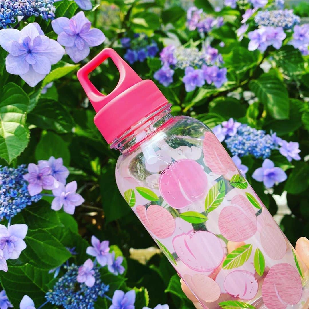 桃知みなみさんのインスタグラム写真 - (桃知みなみInstagram)「真夏ー！！と思ったけど、入梅の候　みなさまお変わりなくお過ごしもっちでしょうか(っ´ω`ｃ)💠✨✨ 水分補給忘れずにもっち〜  #紫陽花 #アジサイ #hydrangea  #waterbottle #peach #MomochiMinami」6月4日 15時45分 - momochi373
