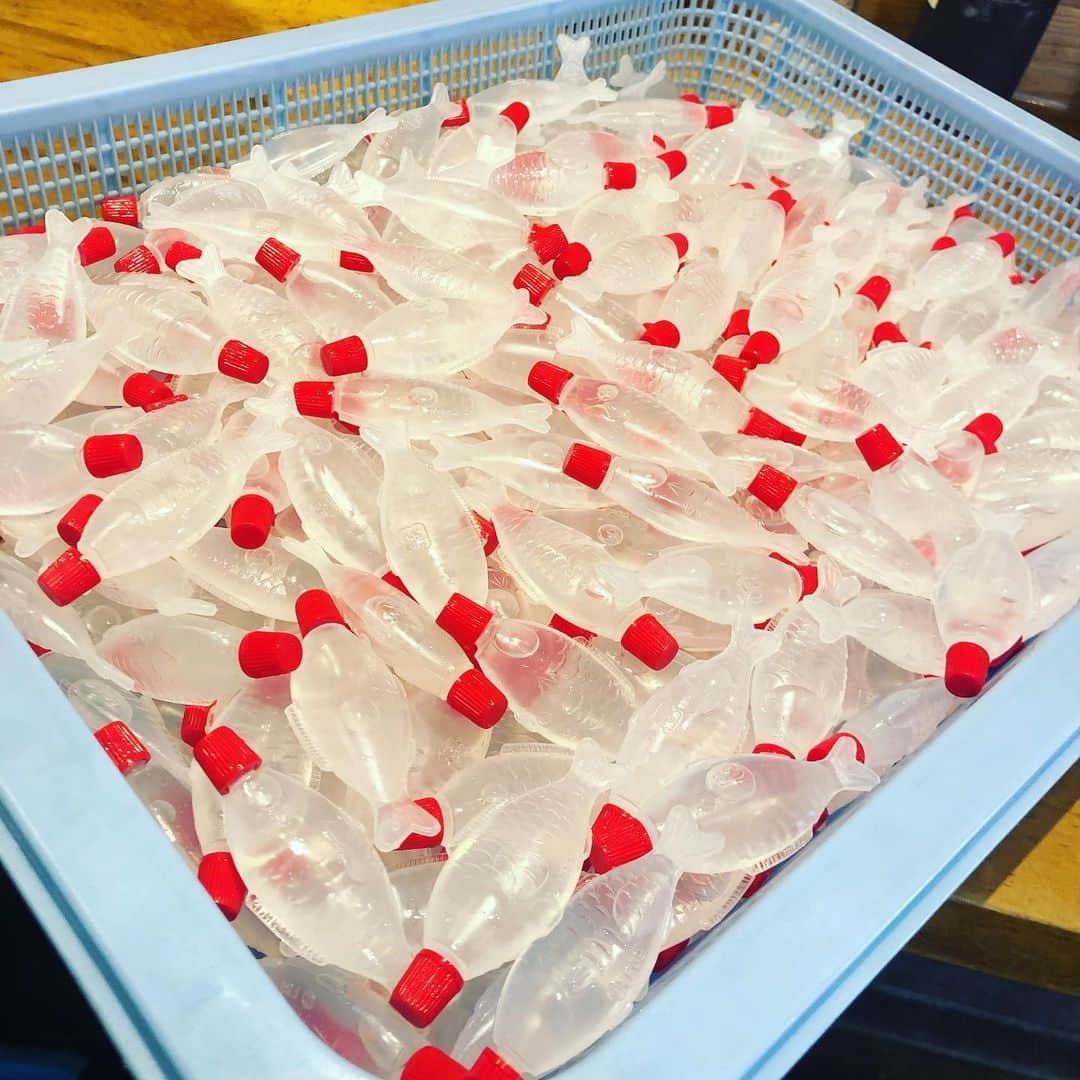 どんがめ三宮総本店のグルメインスタ