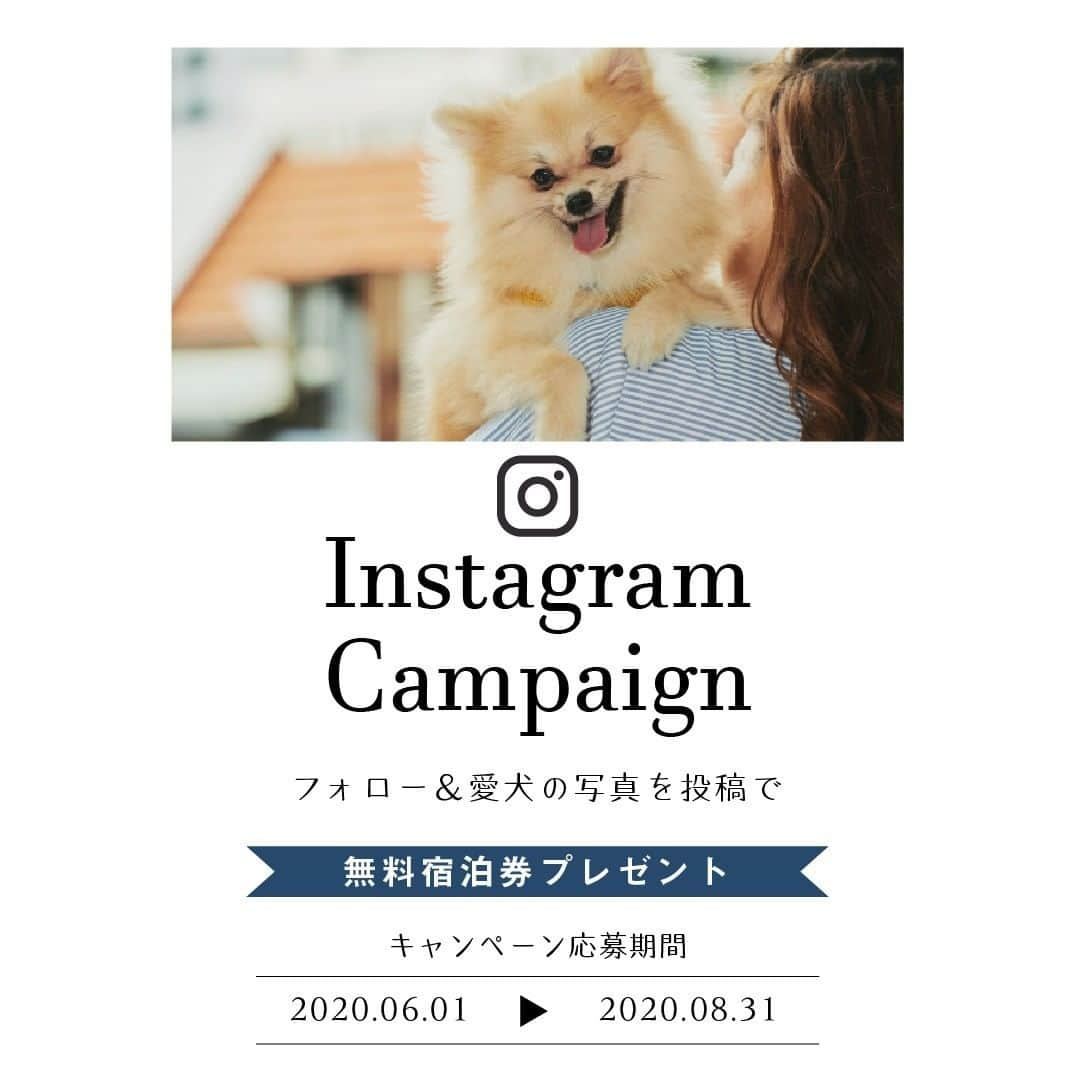 のインスタグラム：「🗣ゆるり無料宿泊キャンペーン開催﻿ ﻿ わんこの宿ゆるり・ゆるり西伊豆﻿ 宿LABOインスタフォロー&投稿を﻿ して頂いた方の中から抽選で無料宿泊券を﻿ プレゼント🎁﻿ ﻿ ◾︎応募期間﻿ 2020年6月1日(月)〜8月31日(月)﻿ ﻿ 詳しくは宿LABOサイト＞おすすめ・旬の旅情報よりご確認ください。﻿ ﻿ ﻿ #無料宿泊#プレゼント#温泉#別府#西伊豆#伊豆#ゆるり#わんこの宿ゆるり#ゆるり西伊豆#旅行#観光#キャンペーン#ゆるり無料宿泊キャンペーン#愛犬#ペット#ペットと泊まれる宿」