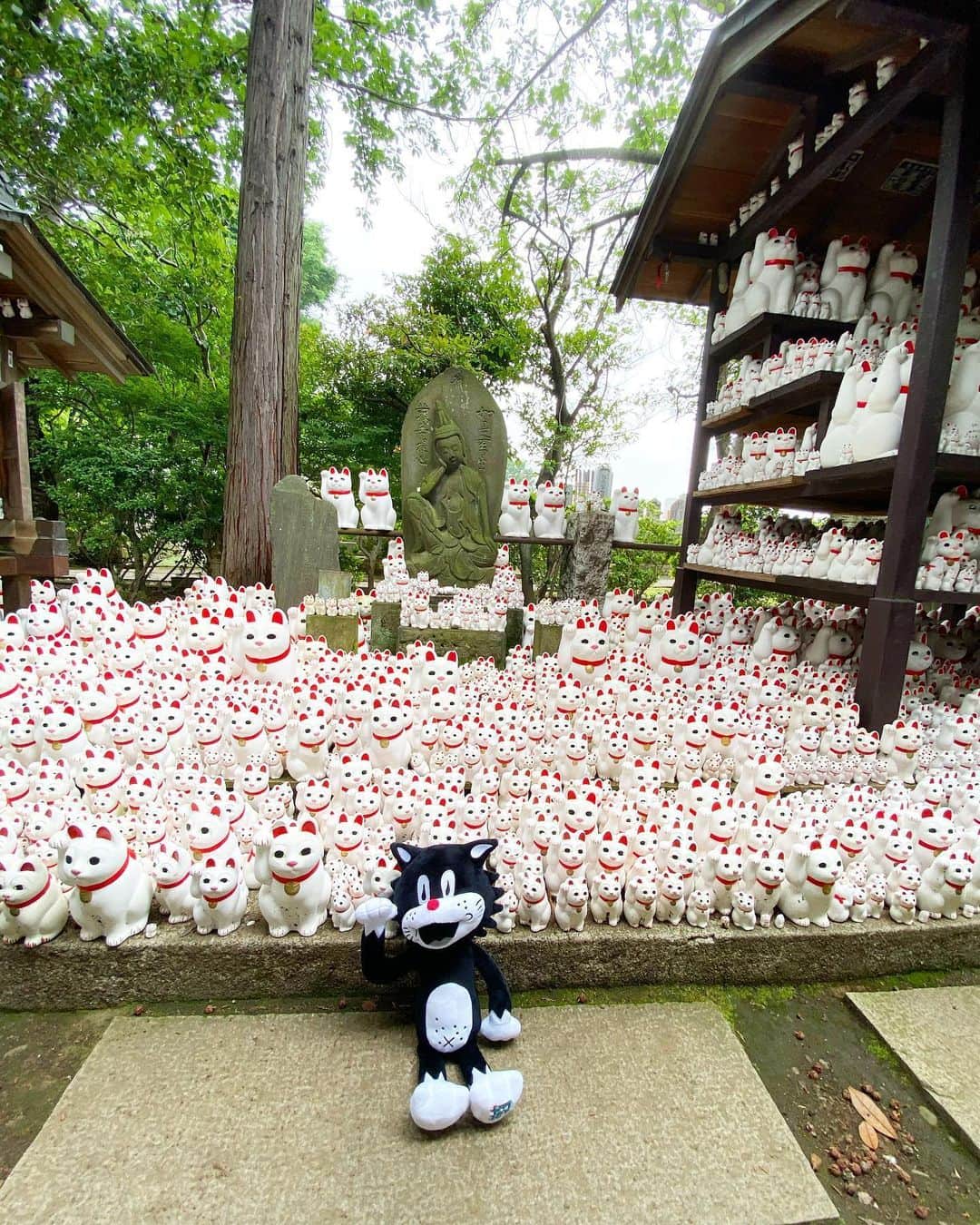 SHOCK EYEさんのインスタグラム写真 - (SHOCK EYEInstagram)「豪徳寺の招き猫✨✨ みーんなに見つめられてる😅 合成ぽいけど、違うよw うちのクロネコちゃんも先輩方に挨拶🙏✨ #豪徳寺 #招き猫 #招 #gotokuji #temple #luckycat #luckycats #待ち受けにどーぞ」6月4日 16時09分 - shockeye_official