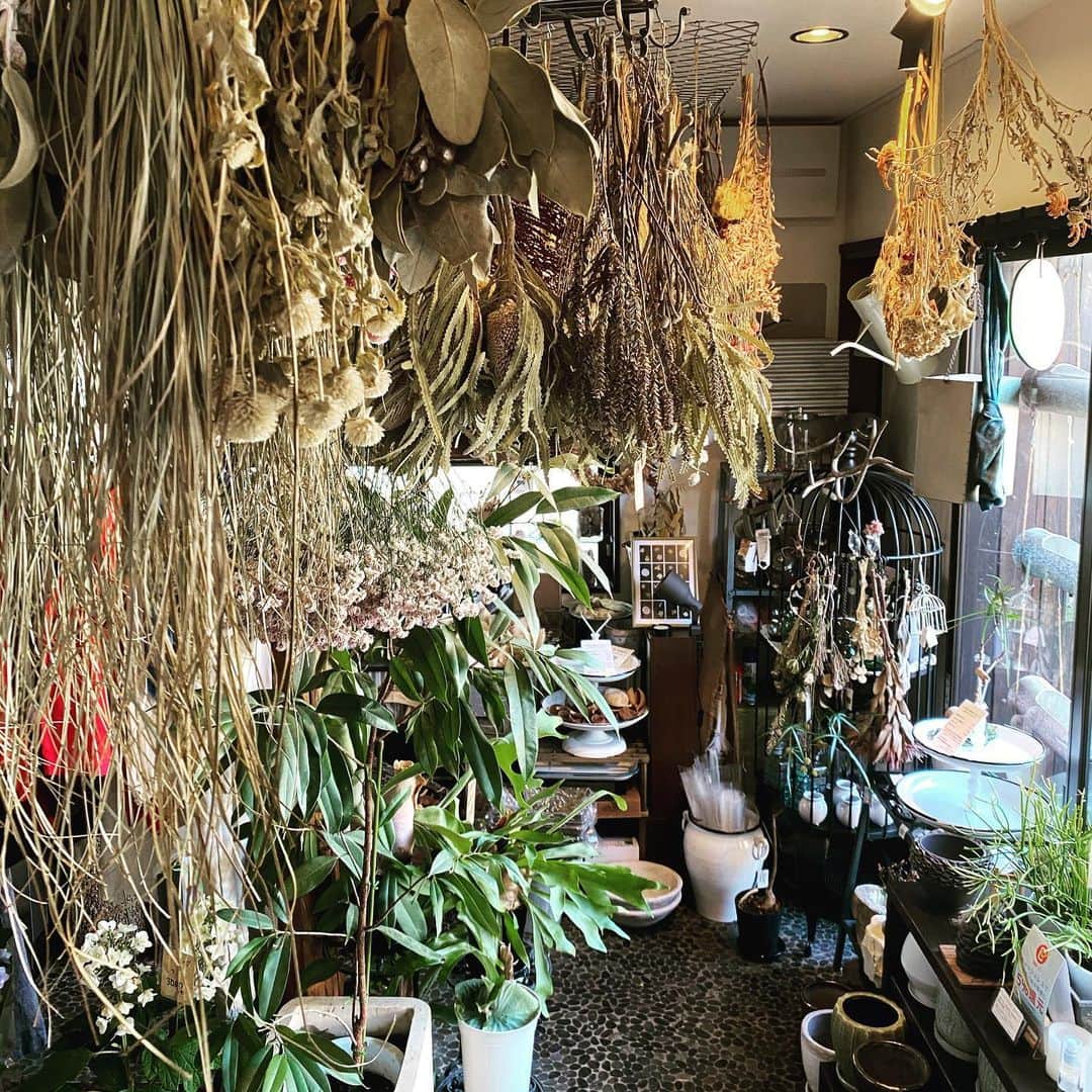 MILLE ECLAT.のグルメインスタ