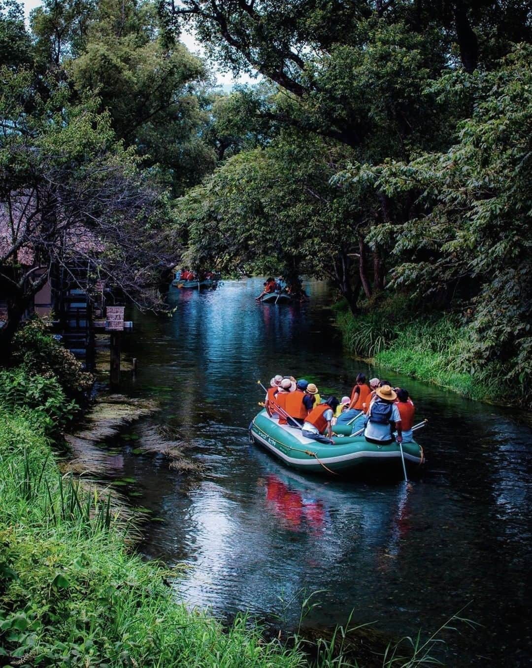 ?長野県 観光 公式インスタグラム さんのインスタグラム写真 - (?長野県 観光 公式インスタグラム Instagram)「//﻿ Photo by @nori_paseo﻿ ﻿ Daio Wasabi Farm﻿ (Azumino City)﻿ ﻿ A clear-bottomed boat floats lazily down the Tategawa River in Azumino.﻿ ﻿ There’s nothing quite as refreshing as taking a trip down a shady river and listening to the musical chirping of birds on a summer’s day.﻿ ﻿ ==========﻿ ﻿ せせらぎの流れにのって　﻿ 「大王わさび農場」﻿ ＠安曇野市﻿ ﻿ 安曇野の清流が流れる「蓼川」を﻿ ゆっくりと進むクリアボート🚣🏻‍♂️﻿ ﻿ 木陰や木漏れ日、鳥の囀り、﻿ 安曇野の清流を抜ける﻿ 涼風を体験してみませんか🍃﻿ ※） クリアボート体験については 安曇野汽船公式WEBサイトをご確認ください。 ﻿ ーーーーーーーー ﻿ ﻿ Location /Azumino City, Nagano, Japan﻿ ﻿ #おうちでながの﻿ #おうちで過ごそう﻿ #長野のいいところ﻿ #大王わさび農場﻿ #安曇野市﻿」6月4日 17時01分 - nagano_japan