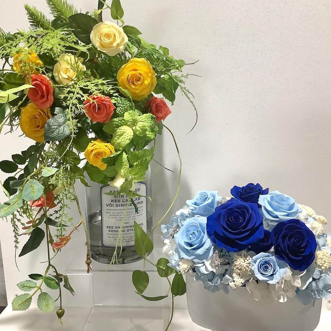 横浜ディスプレイミュージアムのインスタグラム：「. 2Fドライ売り場よりプリザーブドフラワーのオリジナルアソートのご紹介です♪  写真2枚目のオリジナルアソート1箱で色合いが素敵なプリザーブドフラワーが揃います！  カラーが1種類だけじゃないのでこの1箱でアレンジの幅が広がりますよ♪  ぜひお試しください🌟  #横浜ディスプレイミュージアム #株式会社ポピー #横浜 #ディスプレイ #プリザーブドフラワー #プリザーブドフラワーアレンジメント #アーティフィシャルフラワー #フラワーアレンジメント #フラワーデザイン #インテリア雑貨 #インテリア#インテリアコーディネート#スタイリスト#装飾#デコレーション #花のある暮らし #花好きな人と繋がりたい #display #yokohama #flowerarrangement #interiordesign #artficialflower #flowerstagram」
