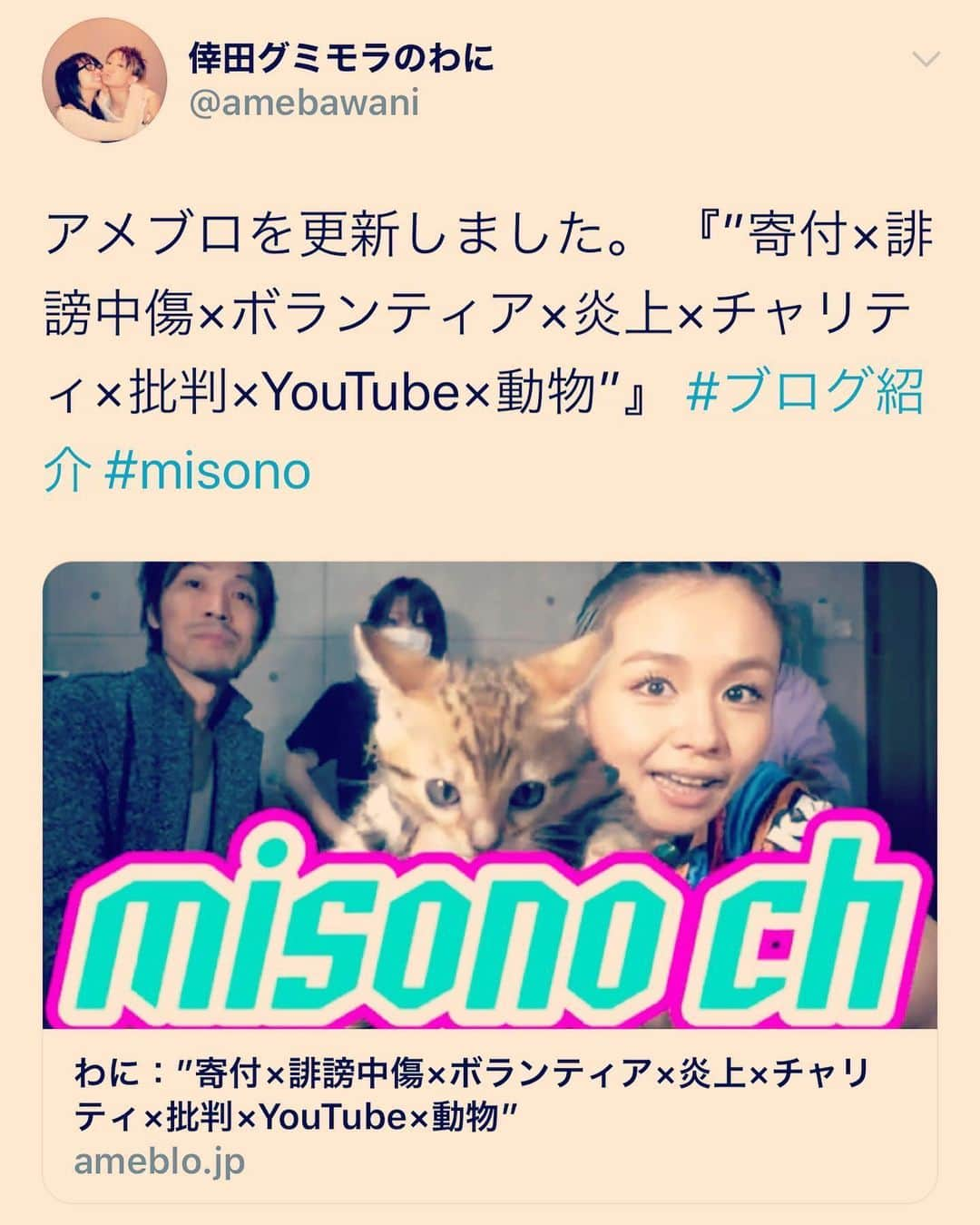 misoNosukeのインスタグラム