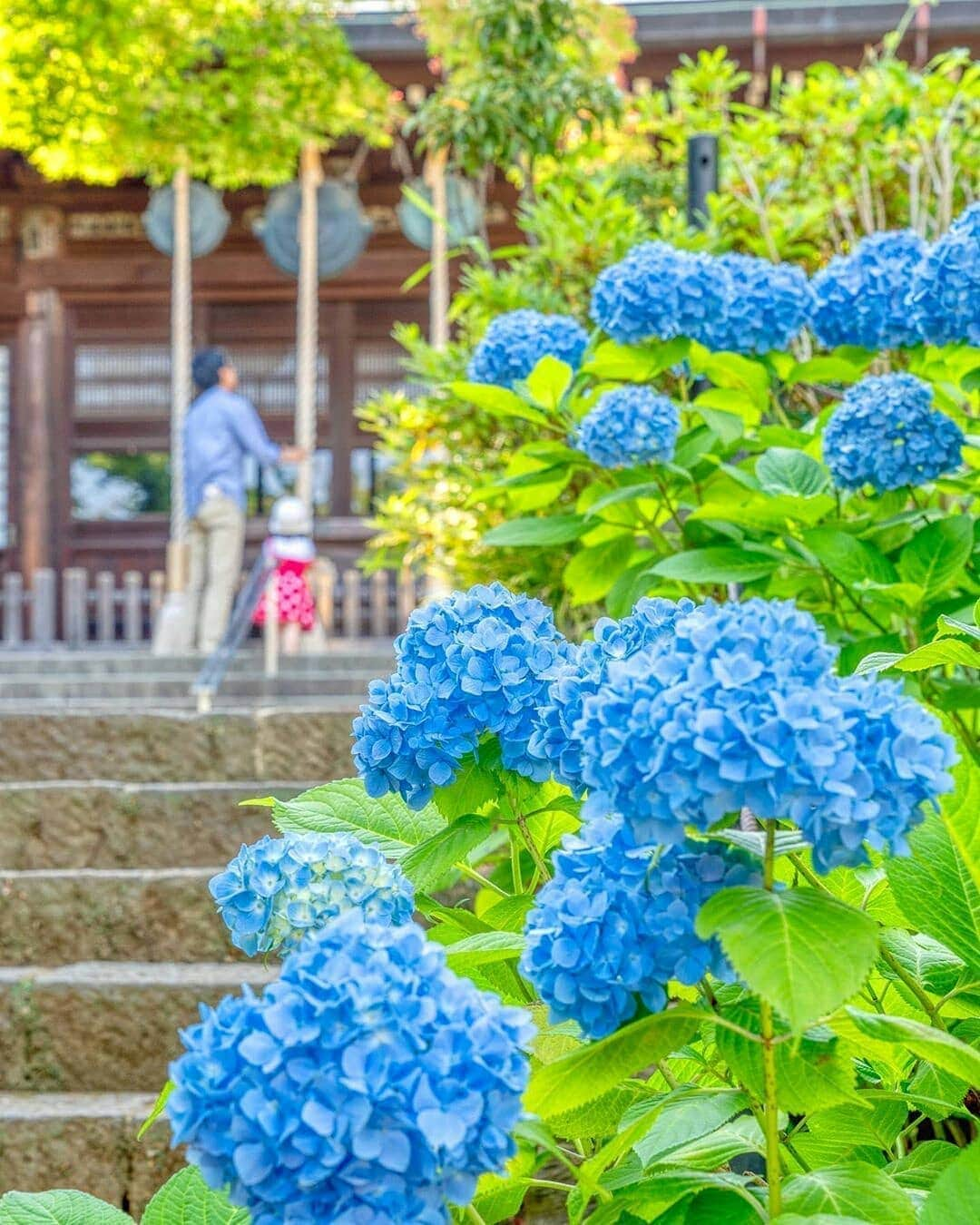 楽天トラベル のインスタグラム