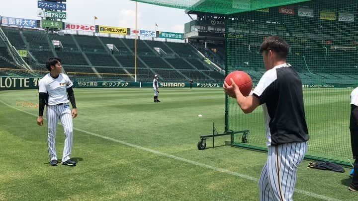 阪神タイガースのインスタグラム