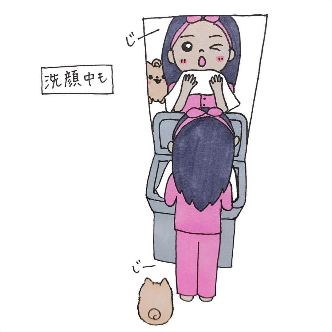矢島舞美のインスタグラム