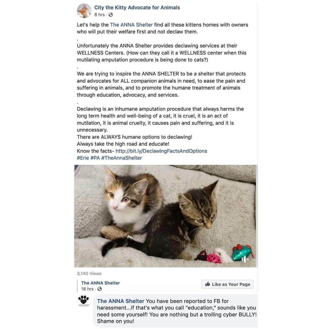 City the Kittyさんのインスタグラム写真 - (City the KittyInstagram)「🙀😿🐾 We are trying to help @theannashelter get their kittens into loving homes and are trying to educate people that declawing is bad for cats so they won't harm their beloved cats. 🐾 The ANNA Shelter does amazing things to help animals but unfortunately they also provide declawing in their WELLNESS Centers. 🤦🏻‍♀️🐾💔 #animalshelter  The ANNA shelter just called us a trolling cyber BULLY and reported us for trying to protect innocent cats from this cruelty and harm after we shared their post and wrote this comment. 🙀🤦🏻‍♀️🐾 Ouch.  Please take 60 seconds and sign our petition to the ANNA Shelter's director that’s on our Instagram bio link.👍🏻🐾 please always take the high road!! ❤️🐾 Thank you to all of you who are trying to educate people about the FACTS about declawing!  #BeTheChange #Declawing is #AnimalCruelty #eriepa #erie #eriepennsylvania #theannashelter #annashelter #stopdeclawing」6月5日 6時50分 - citythekitty