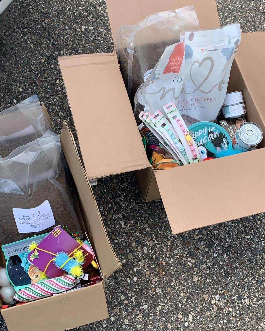 Pudgeのインスタグラム：「We’ve been very busy here in Minneapolis. Because so many inner city stores have been destroyed, the demand for donations of food and other supplies is very high.  I happened to have a lot of food & toys, graciously sent to Pudge in the past by @lovenalaco, @friskies, @thepusheenshop & @meowbox just sitting in my closet (because Pudge is a picky & not-so-playful girl) Today we donated these to @thecoven.co — working with @mnwfpc to distribute donations to a variety of locations across the Twin Cities — and to @people_and_pets_together — working to keep people & their pets together when crisis strikes by providing the food and supplies our pets need. (links in my story if you would like to help contribute)  Please everyone keep working diligently to do what you can to have your voices heard. Uplift your community by volunteering or donating your time or money. And stay strong, stay safe, and stay positive 💪🏻 Don’t stop working for what’s right ❤️」