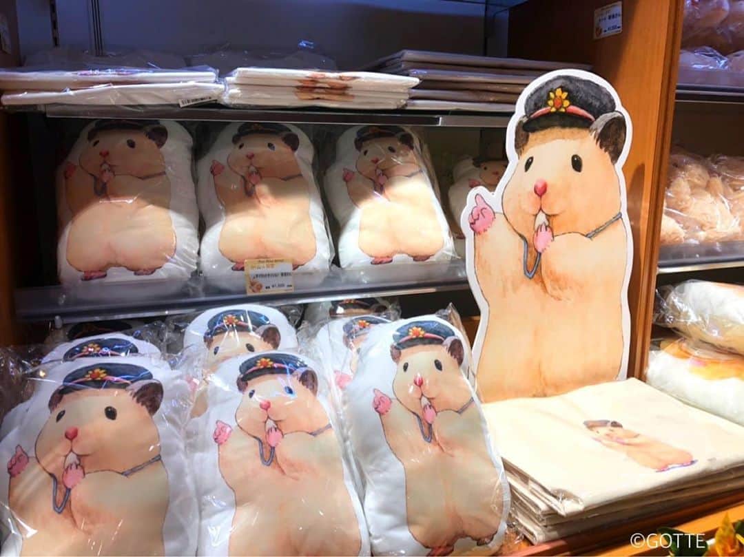のインスタグラム：「ハムスター助六が駅長さんになっちゃいました🐹 2020/06/05から東京駅のK-SPOTにて発売開始🌼 #ハムスター助六の日常  #ハムスター助六  #tokyo #tokyostation  #東京 #東京駅 #東京駅kspot  #kiddyland #キデイランド」