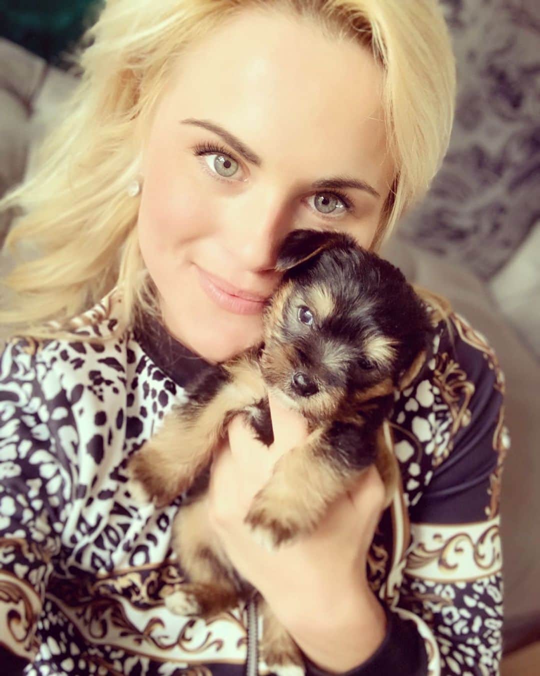 カーリー・ブースさんのインスタグラム写真 - (カーリー・ブースInstagram)「Welcoming my baby boy Diesel home ❤️🐶🥰🥰🥰🥰🥰 #chorkiesofinstagram #chorkie #puppy」6月4日 23時21分 - carlyabooth