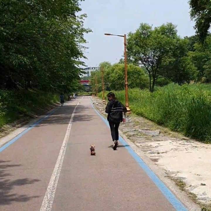띠비비샤샤루루슈엘のインスタグラム
