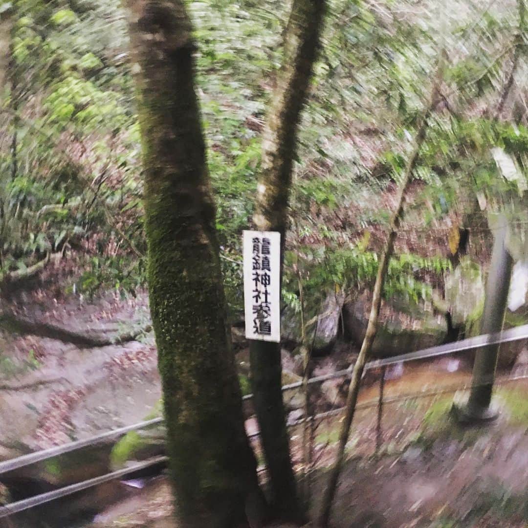 宮田麺児のインスタグラム：「#パワースポット #奈良 #龍鎮神社 #竜神」