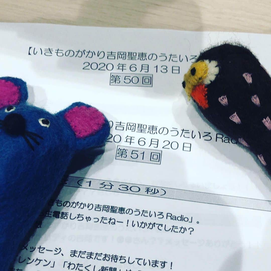 阿部洋子さんのインスタグラム写真 - (阿部洋子Instagram)「怒涛の1週間。 なんだかずーっと収録して生放送してる。 ひと息つきたい。 が、あしたは金曜日。  #うたいろradio では、 きのうの収録で 初の試み🎶 たのしかったなー  ぜひ聞いてくだされ😊」6月5日 0時40分 - hirocoring