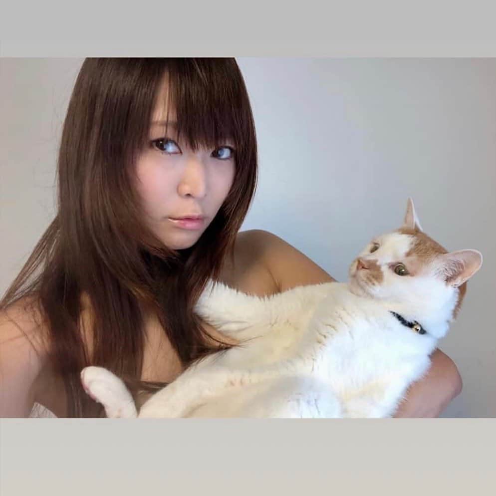 小野さゆりさんのインスタグラム写真 - (小野さゆりInstagram)「よくみたら卑猥だから服着た写真撮りたい  #cat #catt #猫tシャツ　#Tシャツ　#tシャツデザイン #グラビア　#Tシャツグラビア #モデル　#model #Japanese # JAPAN #japanesegirl」6月5日 0時33分 - sayuriono0301