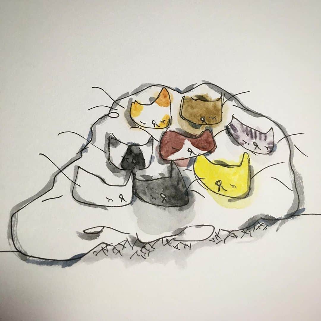 のインスタグラム：「#goodnight」