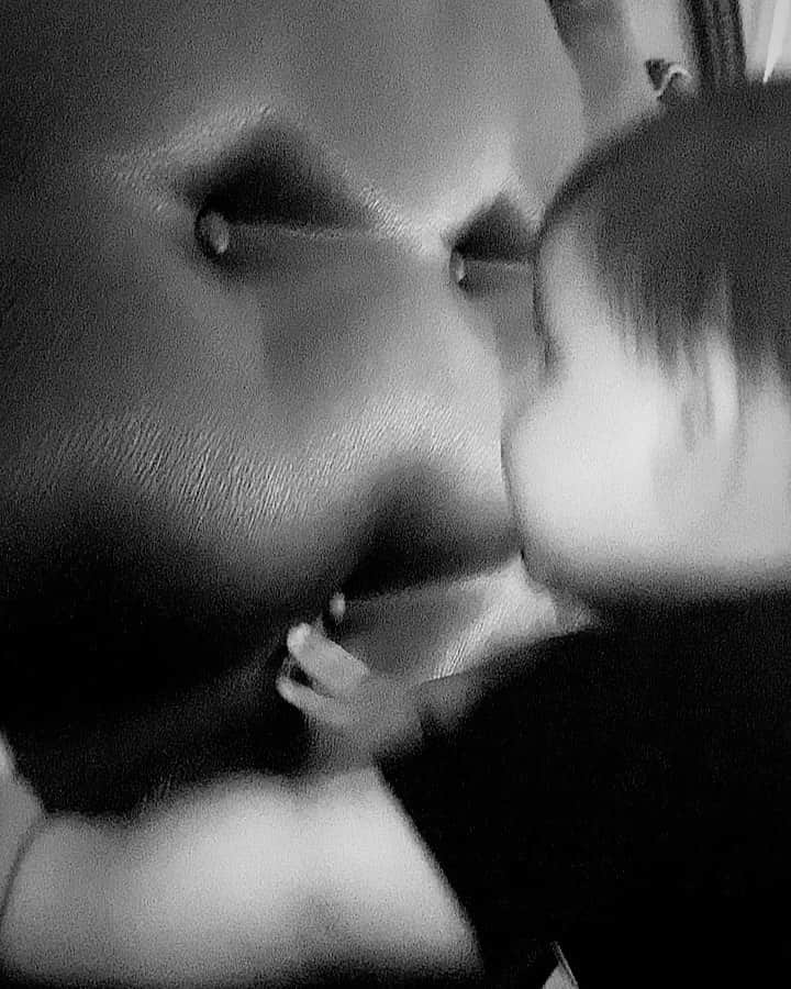 ニコール・ ポリッツィのインスタグラム：「Angelo Squishy finally saying Mawma 💙」