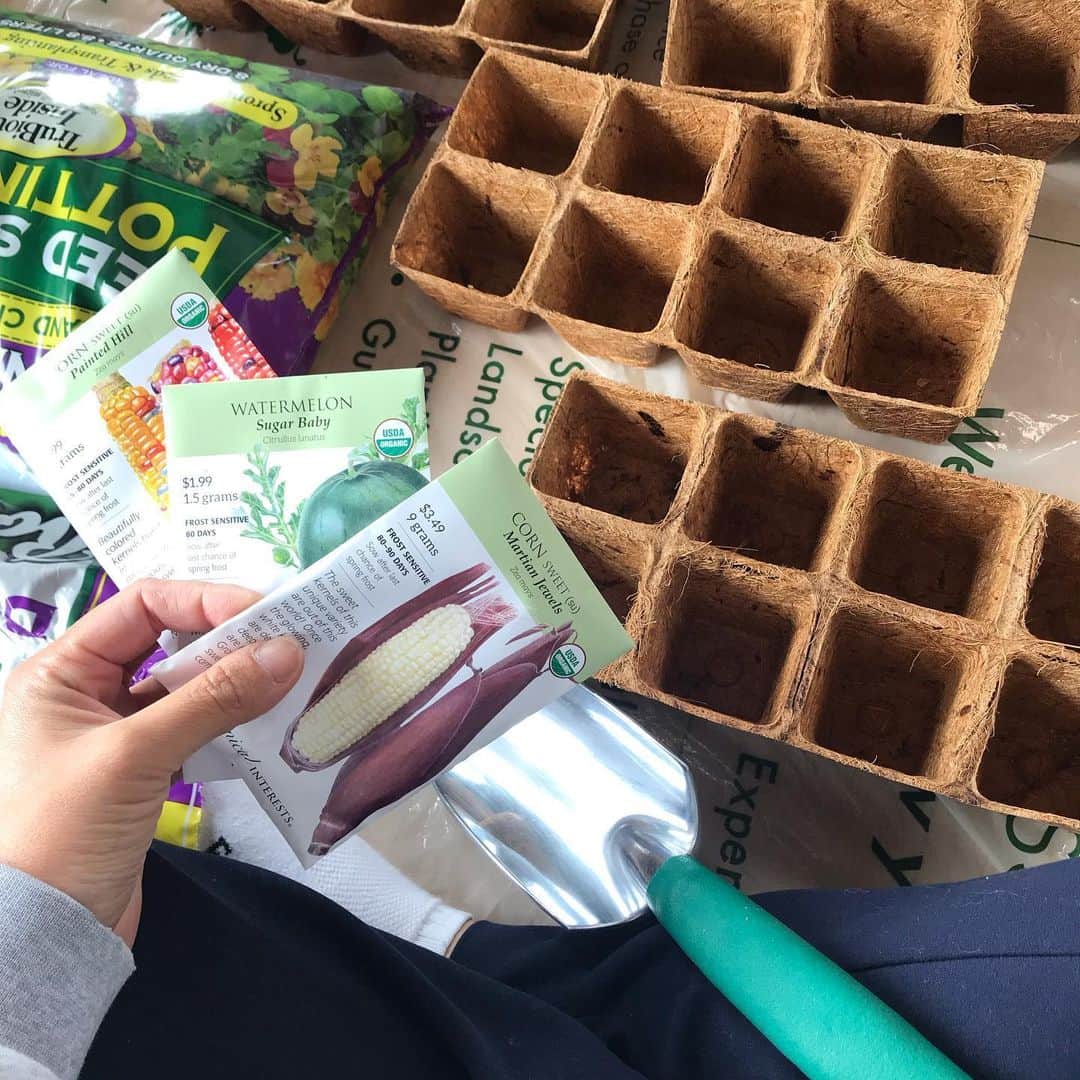 キム・インキョンのインスタグラム：「Soil, Sunshine, Water and help💜 from my friends... um... no sign of water melon...」