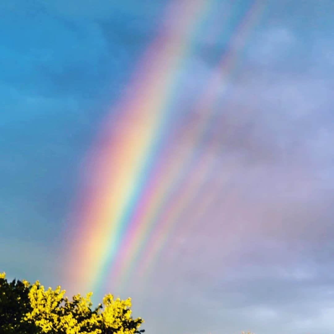 エリクソンビーモンさんのインスタグラム写真 - (エリクソンビーモンInstagram)「Rainbow 🌈 are magic think positive @dashbazaar_ru」6月5日 3時23分 - ericksonbeamon