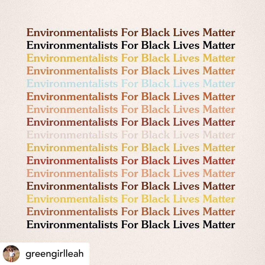 patagoniaさんのインスタグラム写真 - (patagoniaInstagram)「We’re inspired by our friend and colleague @greengirlleah . . . •Social justice cannot wait. It is not an optional “add-on” to environmentalism. It is unfair to opt in and out of caring about racial injustices when many of us cannot. These injustices are happening to our parents, our children, our family and our friends. I’m calling on the environmentalist community to stand in solidarity with the black lives matter movement and with Black, Indigenous + POC communities impacted daily by both social and environmental injustice.  Please swipe to learn more about intersectional environmentalism and take the pledge.  Here is a list of some of my favorite accounts I follow that raise awareness for intersectional environmentalism, please tag more in the comments!: @mikaelaloach @toritsui_ @jamie_s_margolin @queerbrownvegan @diandramarizet @wildginaa @aditimayer @naturechola @nativein_la @amaze_me_grace @she_colorsnature @switchbackshawty @bleavitt8 @badgal_brooky @teresabaker11 @ImKevinJPatel @Xiyebeara @lainetew @sophiakianni @xiuhtezcatl」6月5日 4時27分 - patagonia